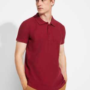 Polo Star