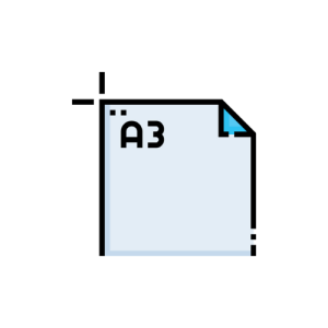 A3